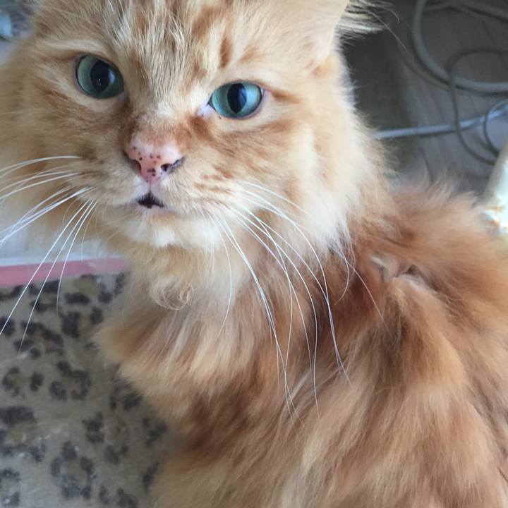 B394b524 8746 47a5 acc7 71c7c183db17 1516407732223