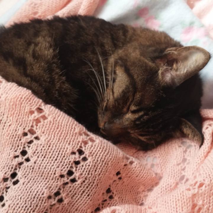 B394c5f5 c660 431c 9afa 61a31f9bb62c 1520492526946