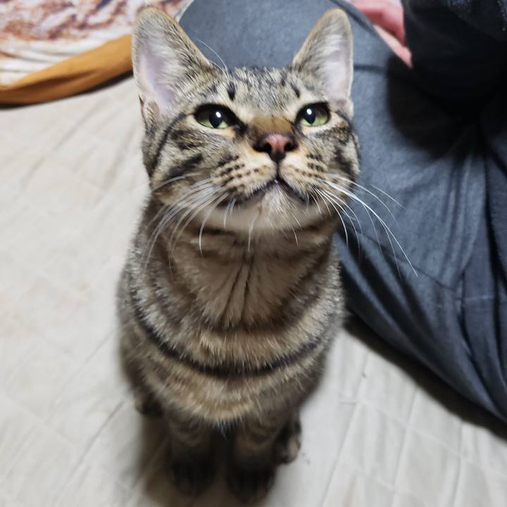 B394e9e0 7f13 4a16 8bf1 3da0c4edb5d4 1558674106075