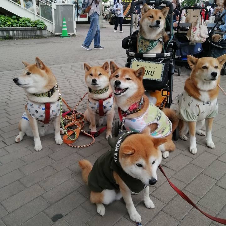 B394ee54 49e3 4613 95fe 58a98de38550 1652700095603