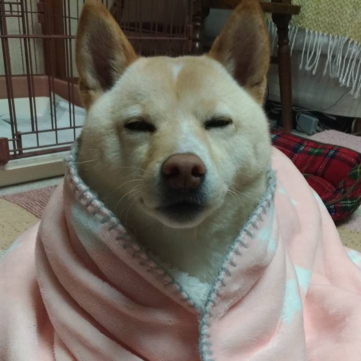 B3951adf 2410 4138 8ae4 77e17475c83a 1550747553023