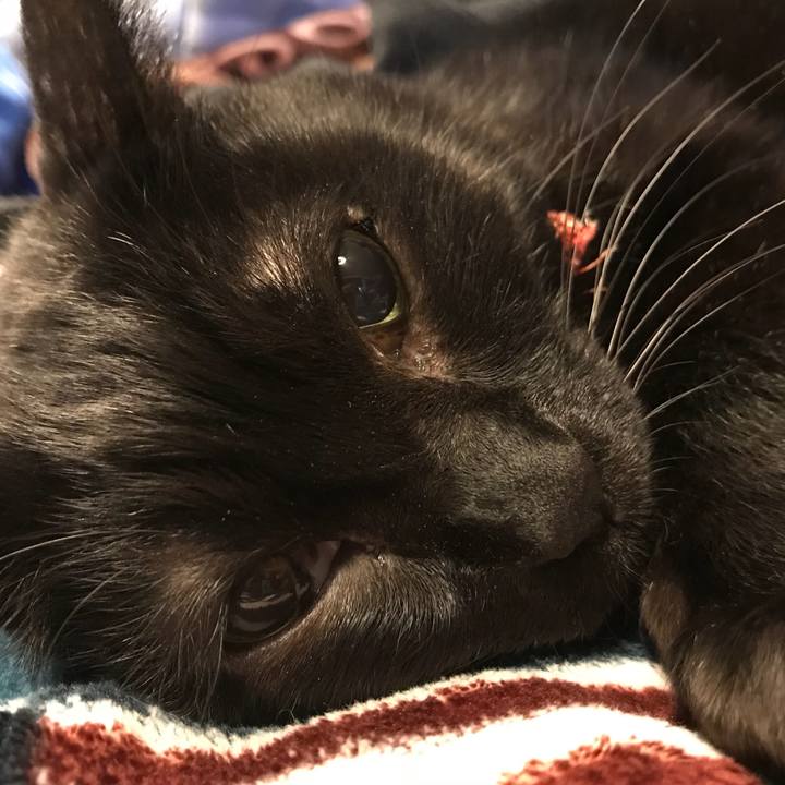 B3951c2e 9df3 482c ae7a 6322bf09dfbc 1511679129057