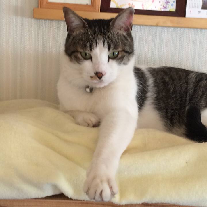 B39527fb a865 4420 88e3 a91d44dd6c54 1523798573274