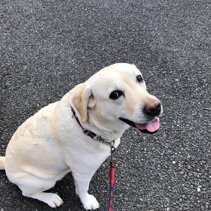 B3953581 557a 436c 8345 a53ccc6c1d02 1650341211548