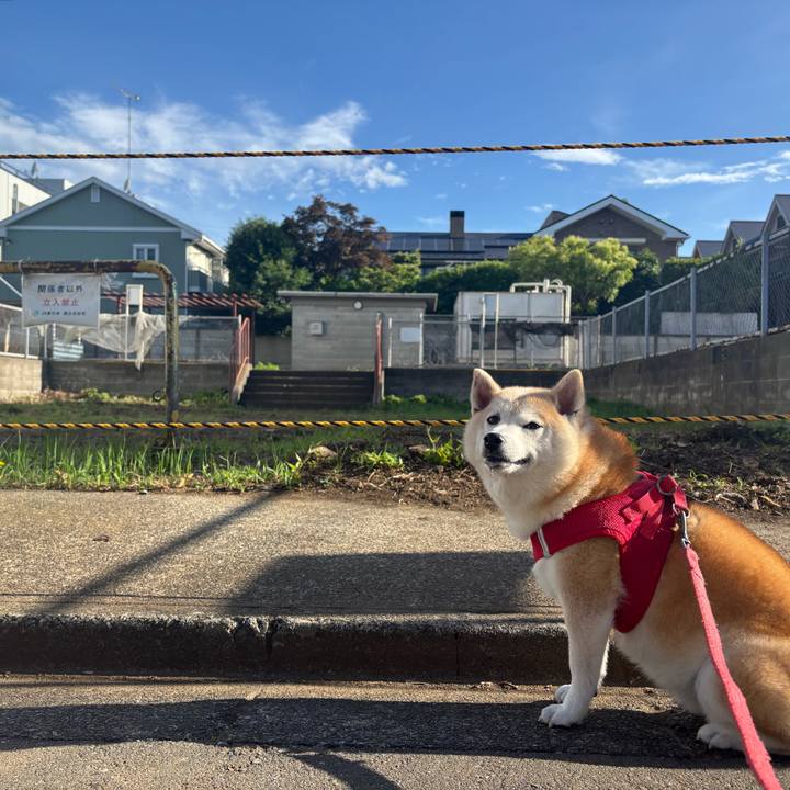 B395376f 08d1 48ed b88c 5b4c5ed05a13 1750625498652