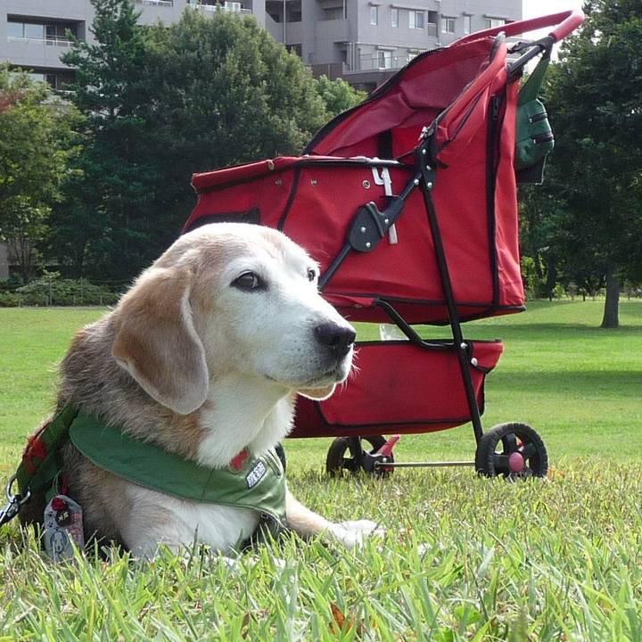 B3953933 8aa0 44fa a19d aa718de5099a 1701737241103