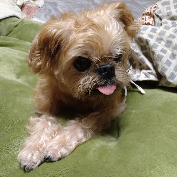 B3953ed1 8926 4303 b4a8 a41df931ab04 1601043919173