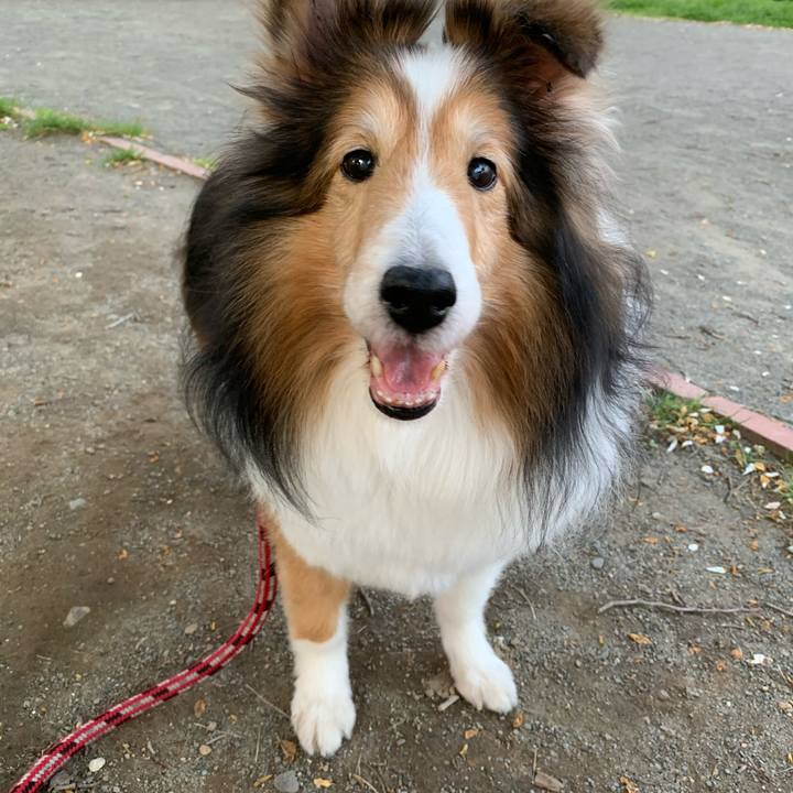 B3956a48 68a7 4dbc bd23 0d5c70858b6f 1590928634295