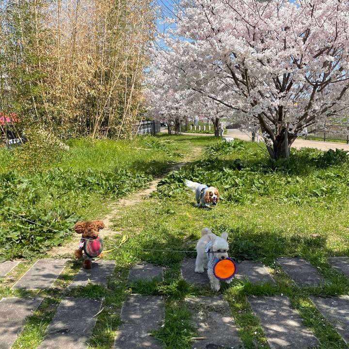 B3958e5d 7112 4ab7 828a 776e79cdb9fe 1649153265011