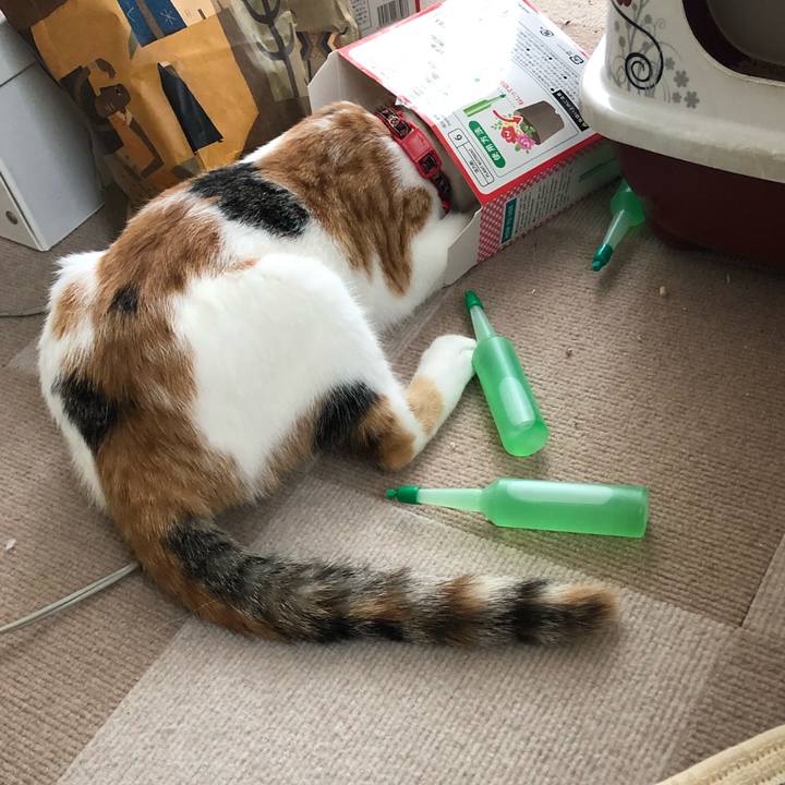 B395f369 6463 49ae 92e9 5c277bc67137 1569710413460