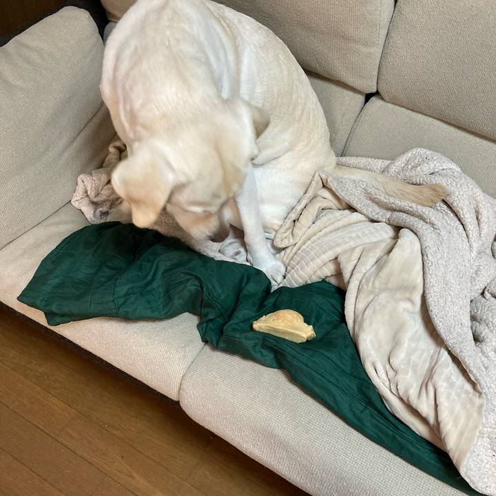 B395fca4 0744 4f47 bfab f508261c22c1 1705196342294