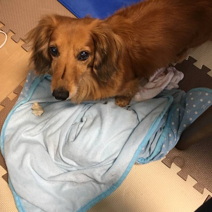 B396049e 0f16 4a61 a3b7 b55a40de4b4e 1563106027978