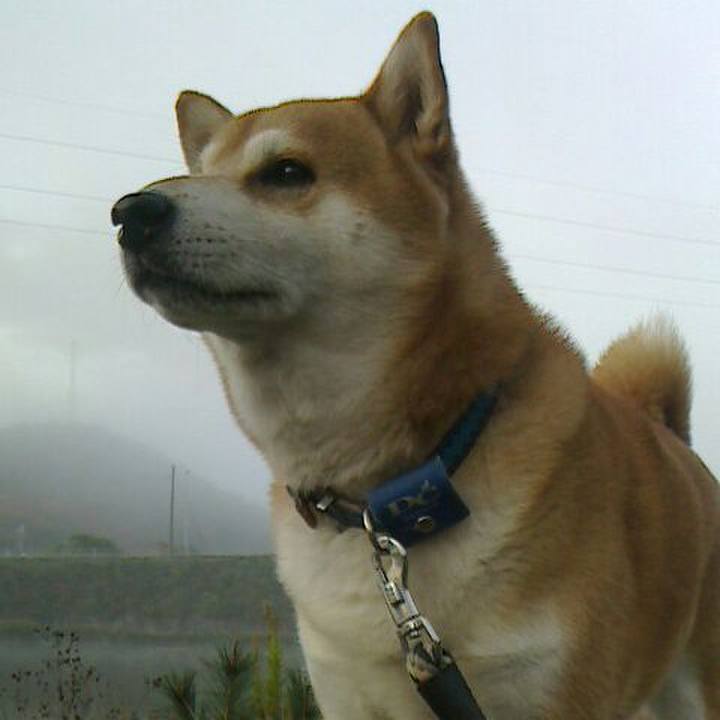 B3960ff2 765a 4a7f 9bba be051852afdd 1575867494731