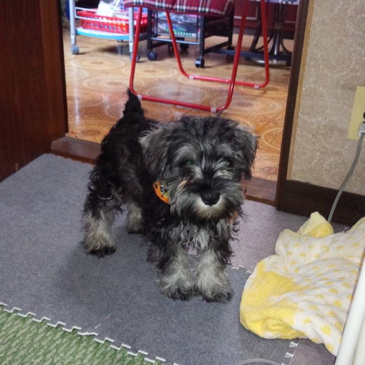 B3961a59 d003 4e27 81c8 94d7b4982416 1616597286272