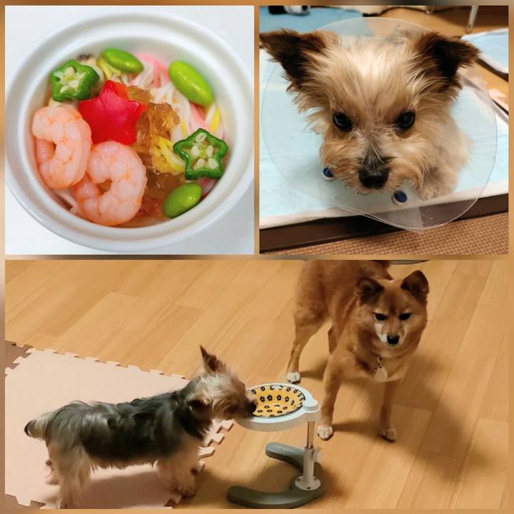 B3963f5c c3fa 413f 998d 34cb69309555 1657290481218