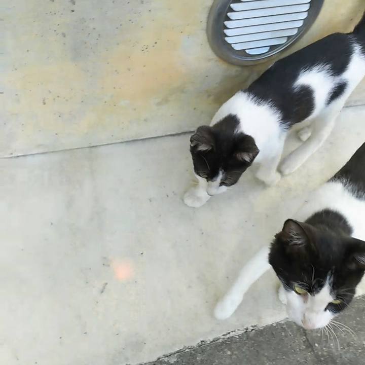 B3967b73 e707 427b be40 5fbe7968dd9b 1533211068694