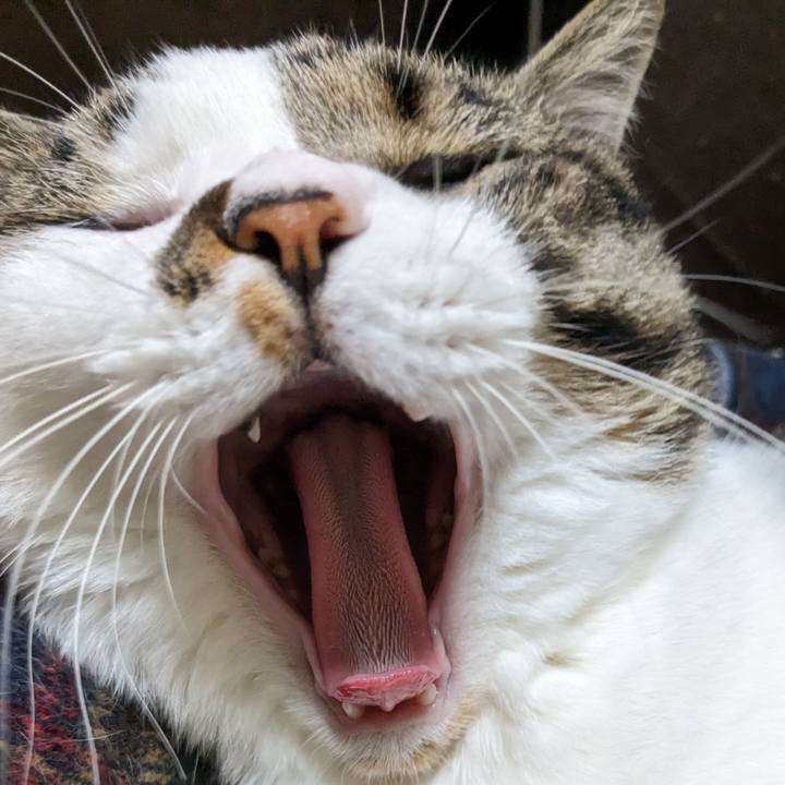 B396889c ea40 45bb ab5c aff5275ecbbb 1691585570151