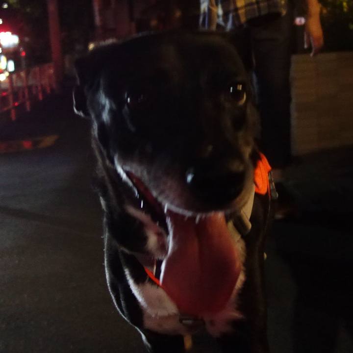 B396d2a7 234a 4123 b45c 863379fd0465 1726312450606