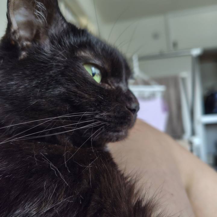 B396dab3 b86e 42c8 8963 5d457977d08d 1717202813867