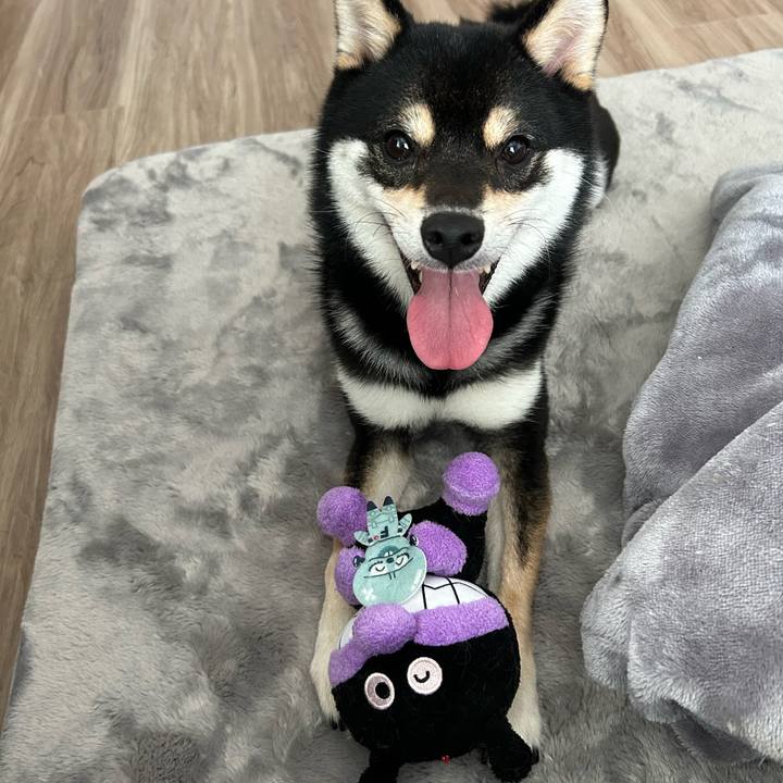 B396e04c a07a 4c02 814d 7aadb37eb5bc 1687576572752