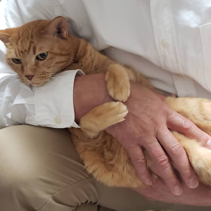 B3970a59 4c41 41a9 a9bc 92a5d336e556 1715999695713