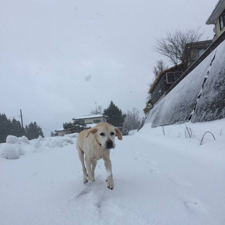 B3971bfe 0d49 4080 88a2 3be44ccccc36 1514942047445