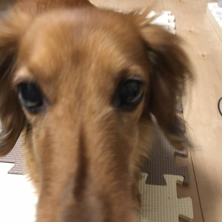 B3973994 70fd 4790 88d0 ebbfefa9ff7f 1526727250502