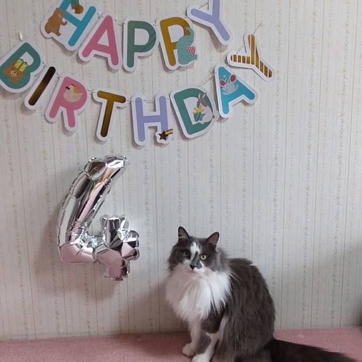 B397463f 2285 41bb ae56 286ad05deec1 1682885240401