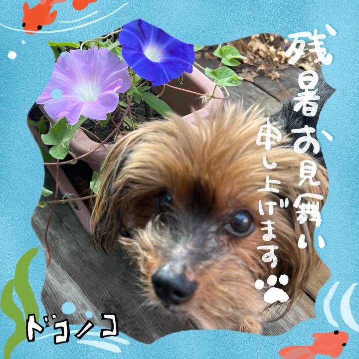 B3977dd5 bb7c 4234 8227 600dcd8f19a7 1723185111507