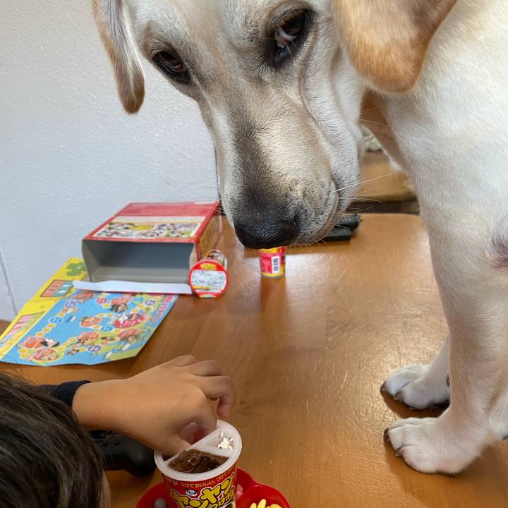 B397acbd 9014 44f0 867d 410b4ae8ac2e 1635665089648