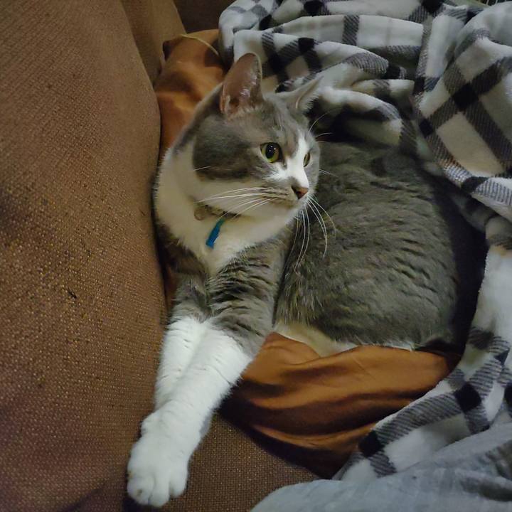 B397c794 ebf2 4550 a091 a649445adcba 1712059132714