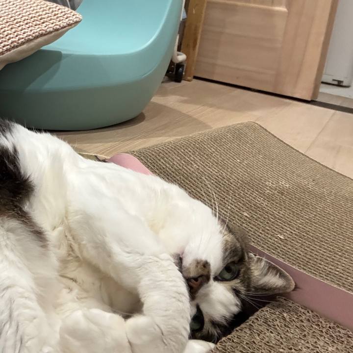 B397eb03 ae77 4c75 bcb1 243750384e65 1771935811941