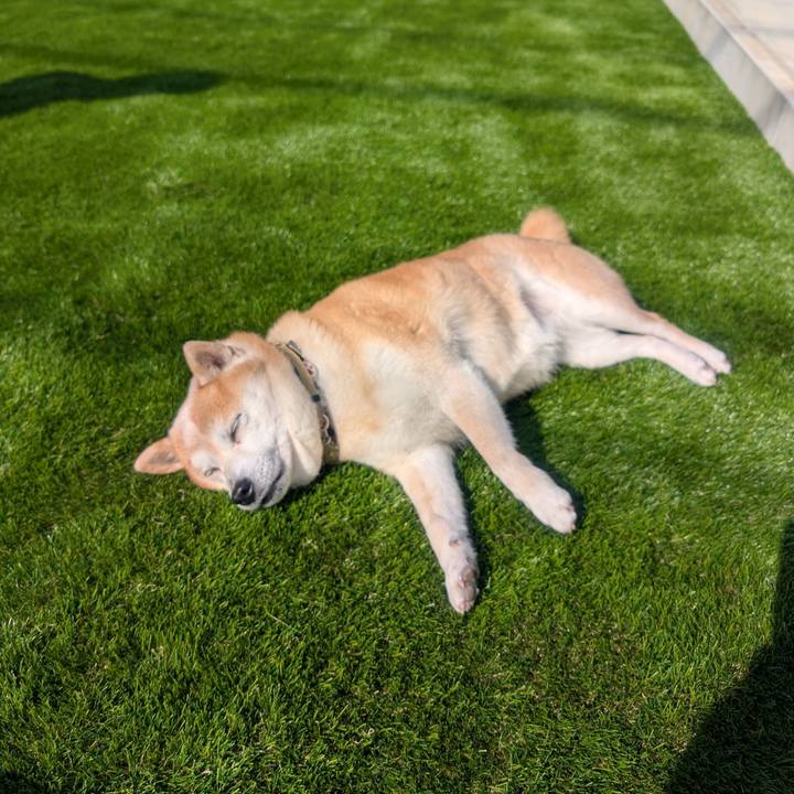 B3982fc7 8158 478e b981 826f06b35931 1774075113004