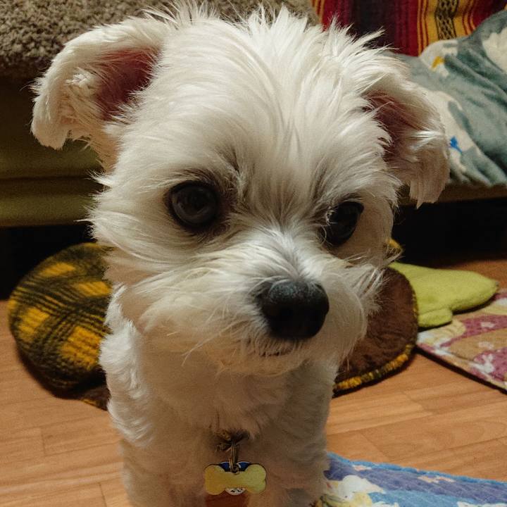 B39868a6 7366 4125 8d6e 799d41e1c19e 1540300009612