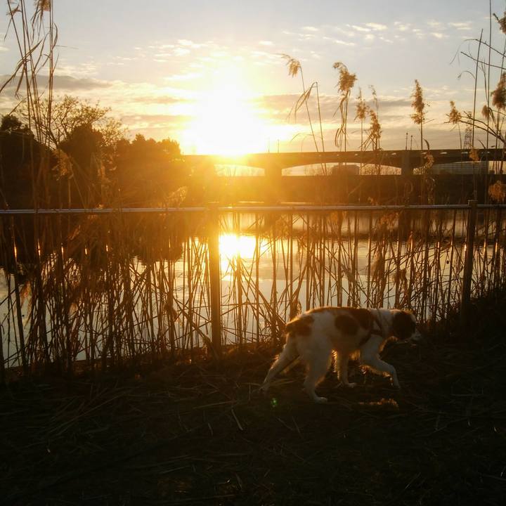 B39873cc ff99 4c73 a49b 697614933de6 1548837620100