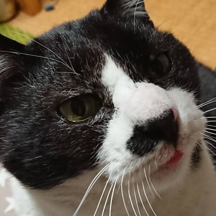 B3988613 954d 4126 a1b5 13d7c49d66e8 1648891829679