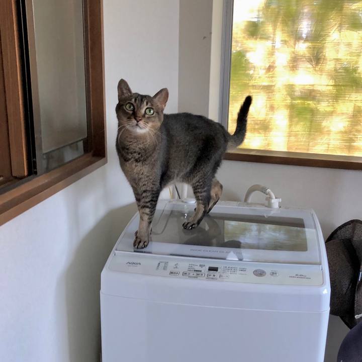 B398cbe5 51e4 4ba6 a7f2 2965f0b22bc9 1729644842613