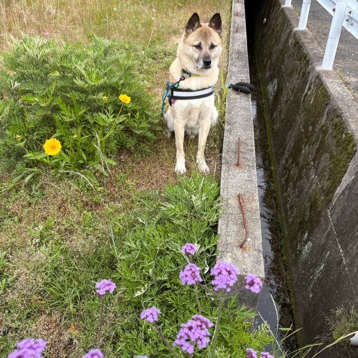 B39914f3 b859 490c baa0 1374ccccb2df 1748432994530