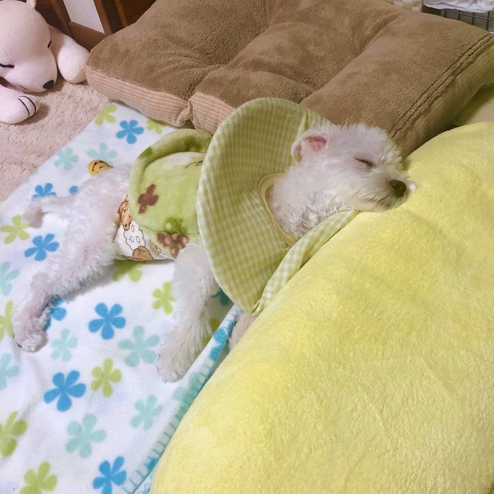 B399482e 9867 4efd 97c1 d79c548d3b1b 1542873979530