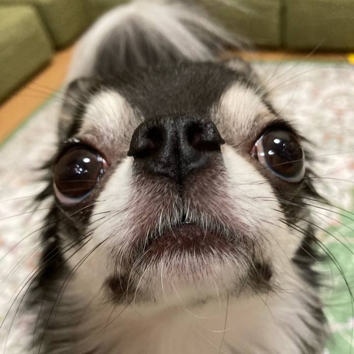 B39998a0 30d2 4e9b 99c5 efa7cd3a1a7d 1665240881691