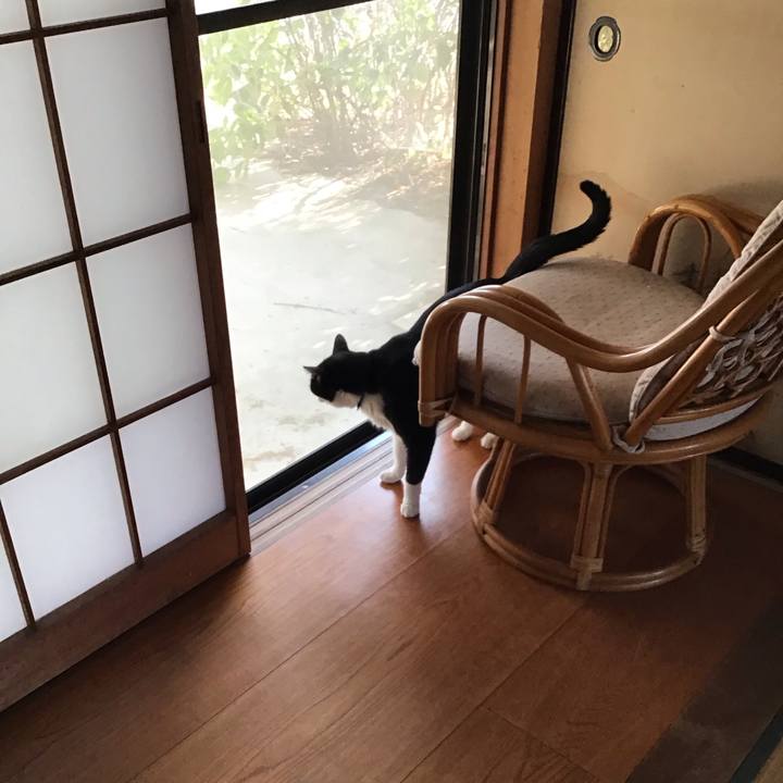 B399b981 fa1a 4e1e 8a90 862b12df9446 1756193216690