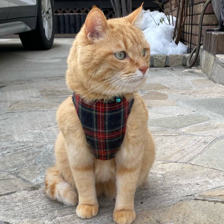 B399be78 af31 41ad b87c 33dec026225e 1611471942451