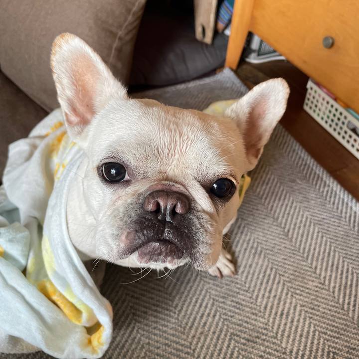 B399c997 fefe 461e a7e0 7b8c70279c15 1725842015176