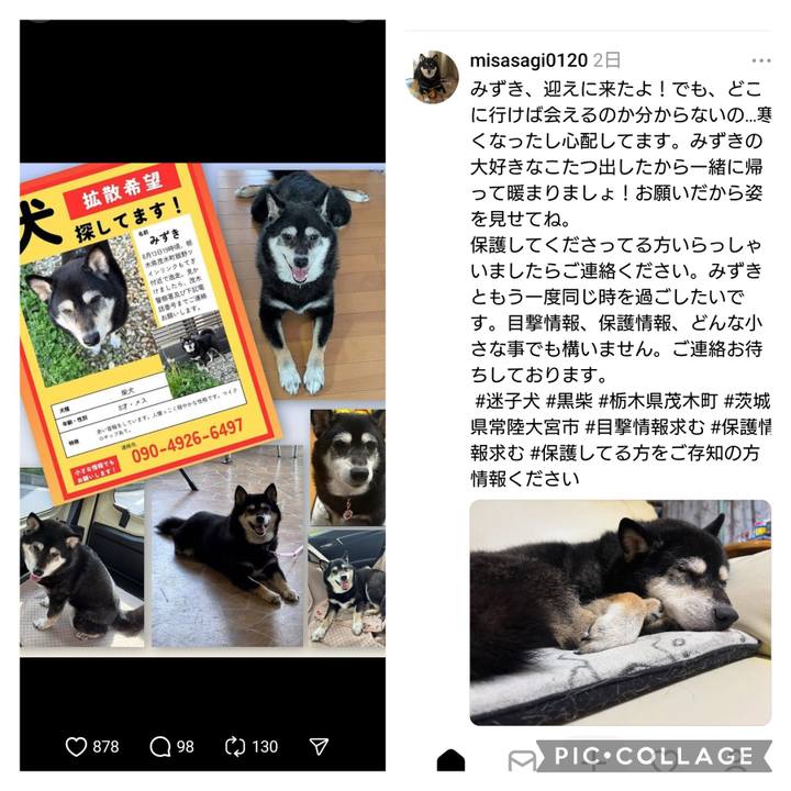 B399d492 884f 471b bfb6 671b6d6cd25d 1763248601863