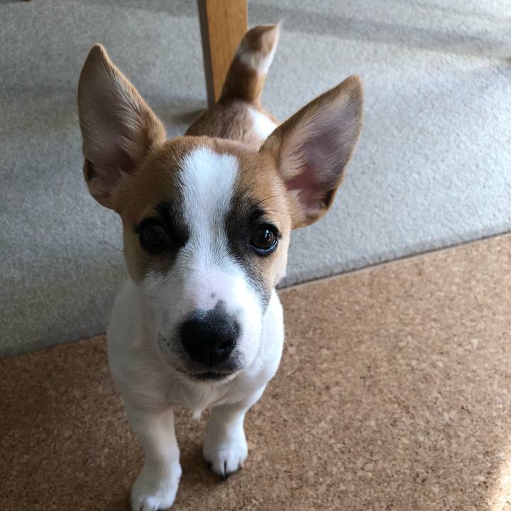 B399f855 2448 4a17 867d 463262ffc0d8 1548204910593