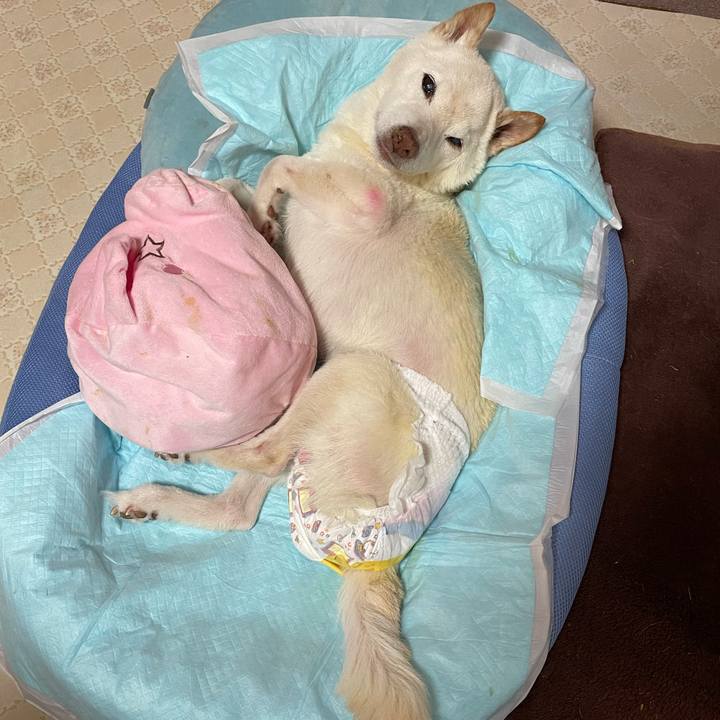 B39a27c7 4367 41fa 984b ce734b6ca63a 1673133413953