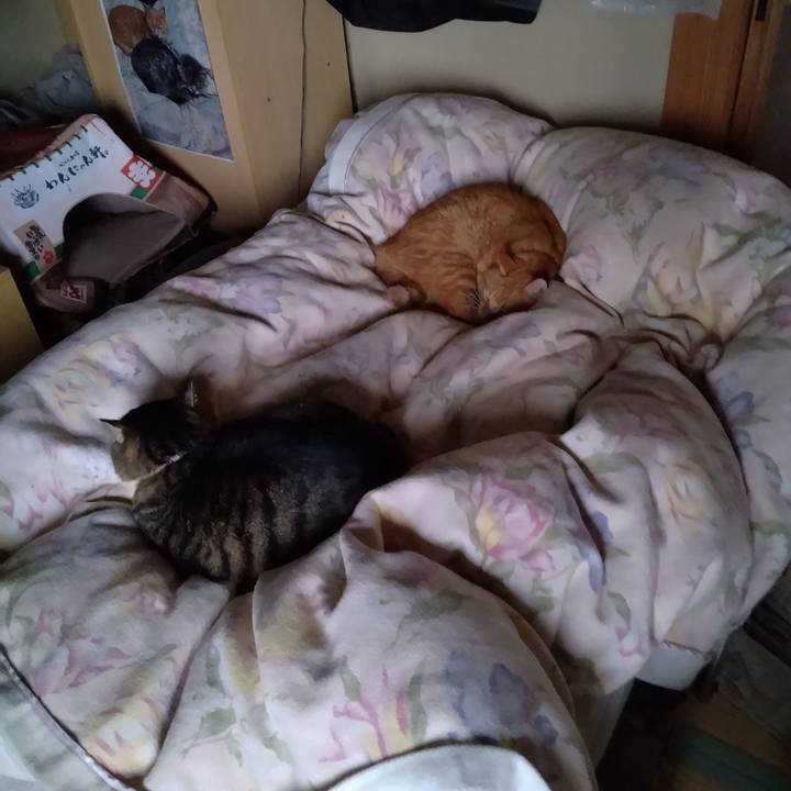 B39a79ef 32d9 44c5 9b6d acad05fc1325 1696459529724