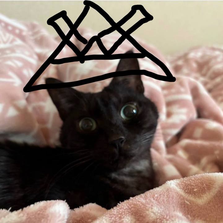 B39a88e8 9b4a 43a8 ad2b f54c6853eed1 1746408290788