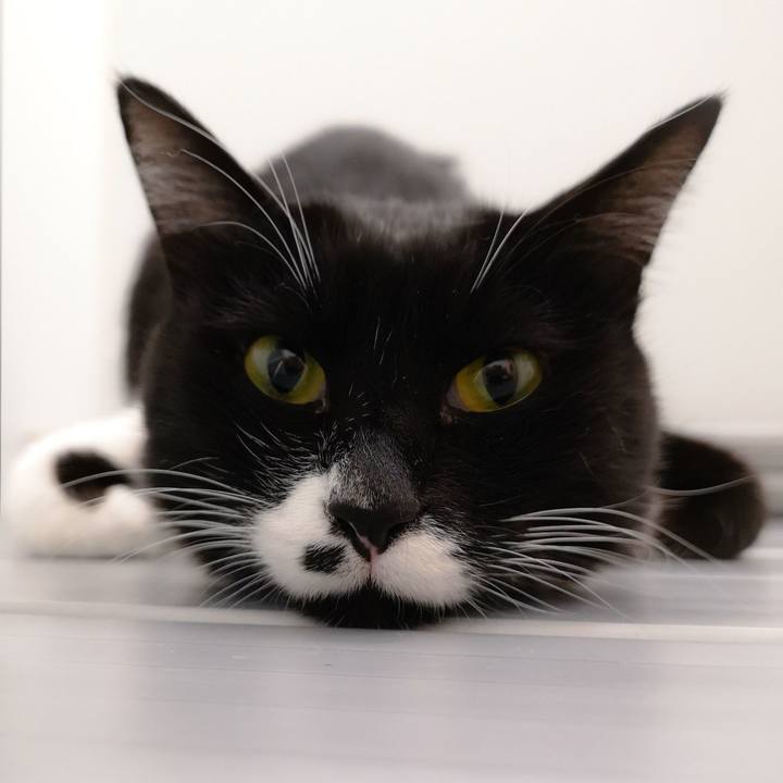 B39ab1fb 0709 4b15 a1d7 81099888b21b 1549066074055