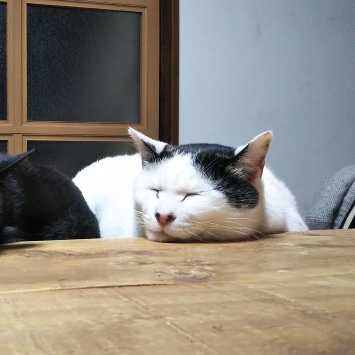 B39ada7c f148 4132 82ec 9ae7c67ece76 1609422233959